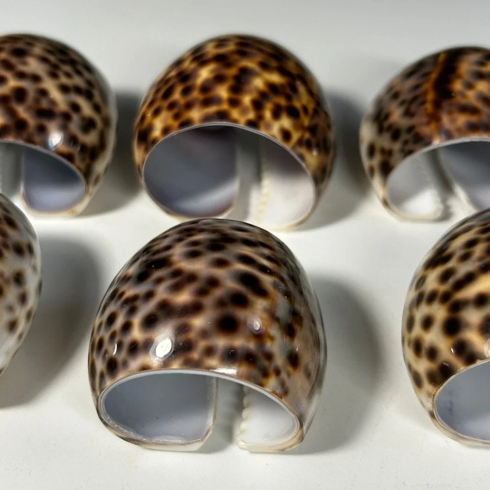 Vintage Tiger Cowrie Shell Napkin Rings Set of 6 Coastal Nautical Table Decor